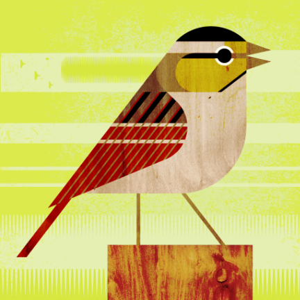 scott partridge - bird genoscape project - grasshopper sparrow