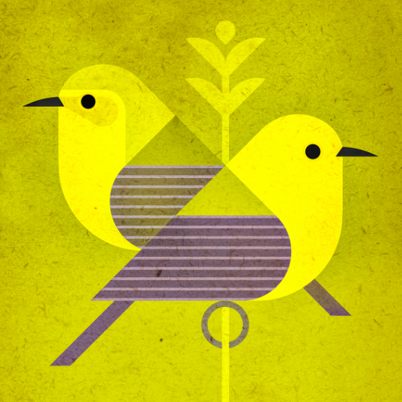 scott partridge - bird genoscape project - Prothonotary Warbler