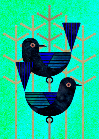 Scott Partridge - Illustration - Black Catbird