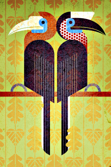 Scott Partridge - Illustration - Yellow-Casqued Hornbill
