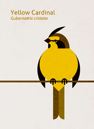 Scott Partridge - Illustration - Yellow Cardinal