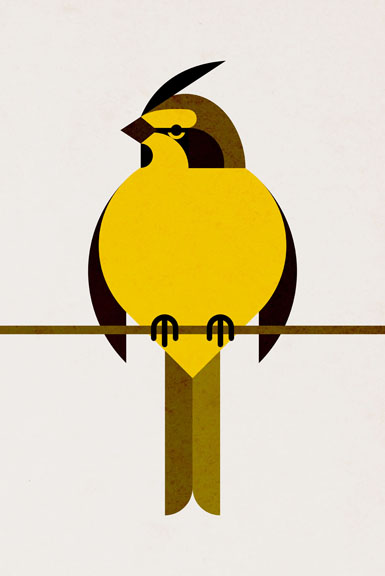 Scott Partridge - Illustration - Yellow Cardinal