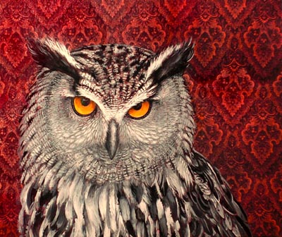 owl bubo bubo