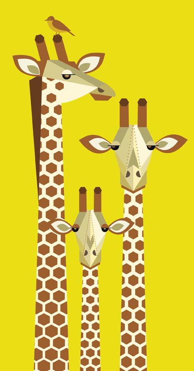 giraffes
