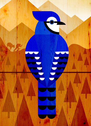 scott partridge - Set of cards commissioned by Great Outdoor Provision Co. 2015. - Blue Jay