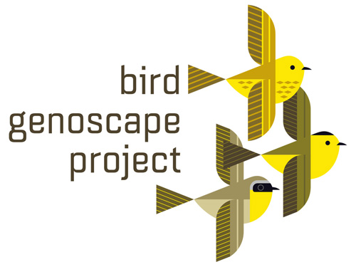 scott partridge - bird genoscape project - bird genoscape project logo
