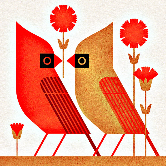 scott partridge - state bird and flower - Ohio - Cardinal and Carnation