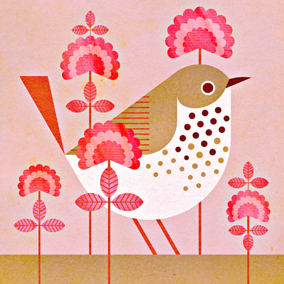 scott partridge - state bird and flower - Vermont - Hermit Thrush and Red Clover