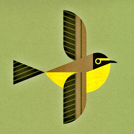 scott partridge - bird genoscape project - kentucky warbler