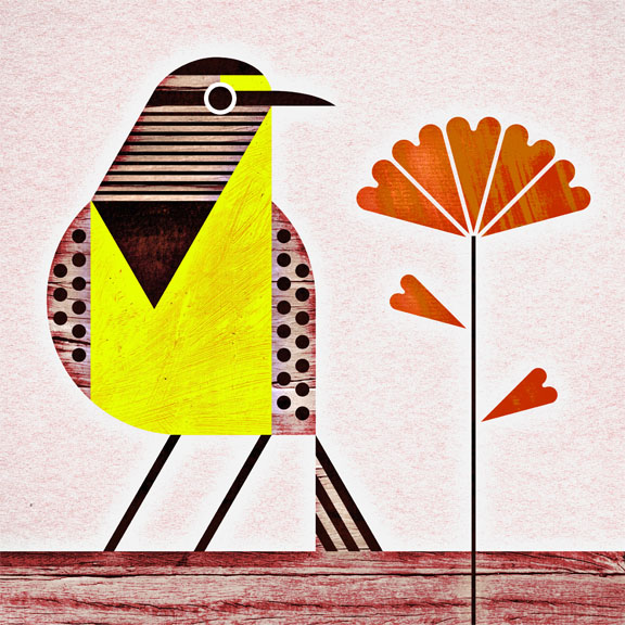 scott partridge - state bird and flower - Wyoming - Meadowlark and Indian Paintbrush