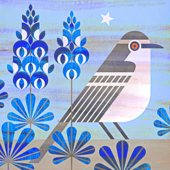 scott partridge - state bird and flower - Texas - Mockingbird and Blue Bonnet