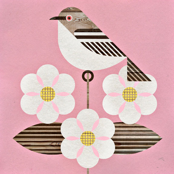 scott partridge - state bird and flower - Mockingbird and Magnolia