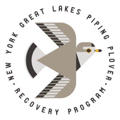 Scott Partridge - Logo Design - NY GL Piping Plover