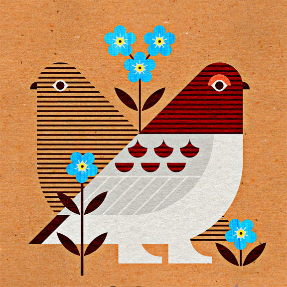 scott partridge - state bird and flower - Alaska - Willow Ptarmigan and Alpine Forget-me-not