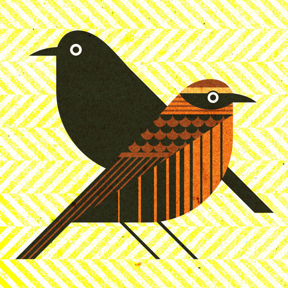 scott partridge - bird genoscape project - rusty blackbird