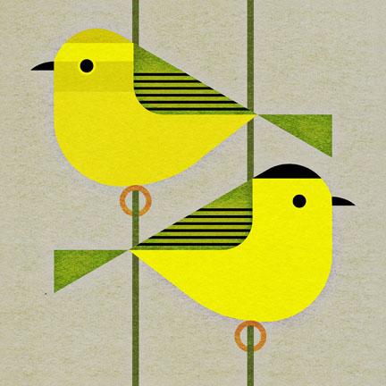 scott partridge - bird genoscape project - wilsons warbler