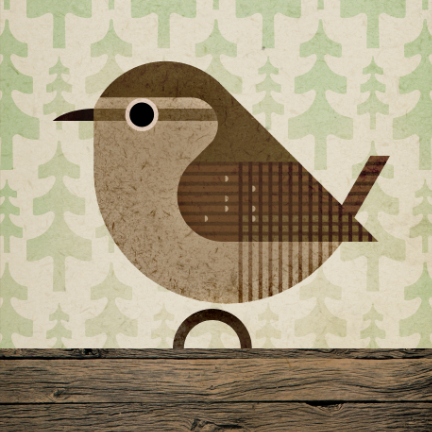 scott partridge - bird genoscape project - Winter Wren