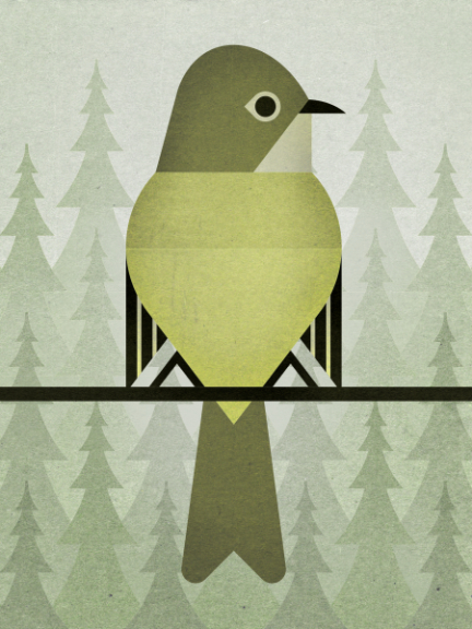 scott partridge - bird genoscape project - Yellow-Bellied Flycatcher