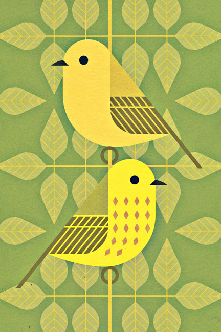 scott partridge - bird genoscape project - yellow warbler