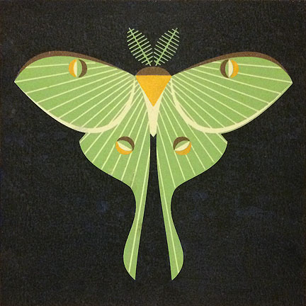 Scott Partridge - painting - luna moth 12 x 12