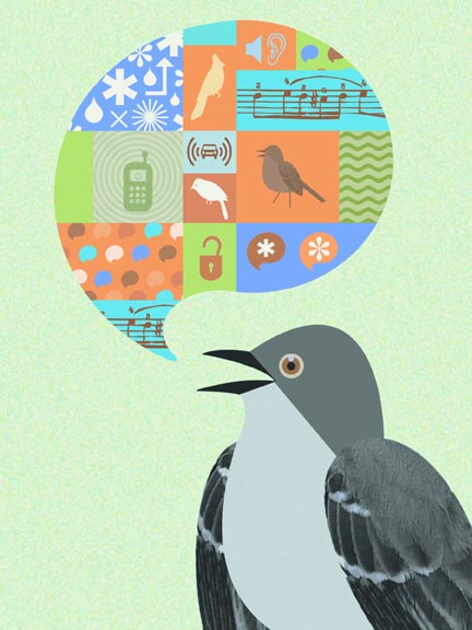 Scott Partridge - illustration - mockingbird songs