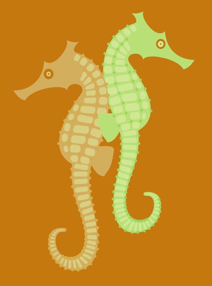 seahorses NOFO