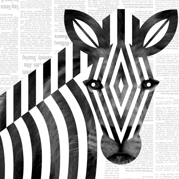 Scott Partridge - illustration - zebra