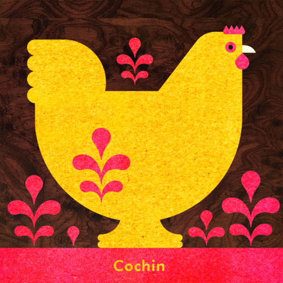 Scott Partridge - Chicken Illustration - Cochin Hen 2