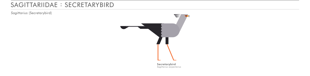 scott partridge - ave - avian vector encyclopedia - accipitriformes - secretarybird - bird vector art
