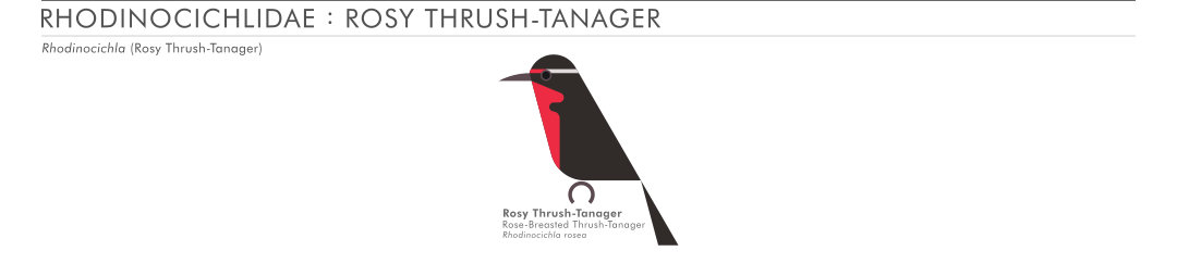 scott partridge - AVE - avian vector encyclopedia - rosy tanager-thrush - bird vector art