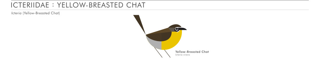 scott partridge - AVE - avian vector encyclopedia - yellow-breasted chat - bird vector art
