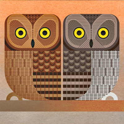 Scott Partridge - Illustration - Principe Scops Owl