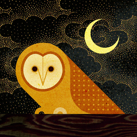 Scott Partridge - Illustration - Barn Owl