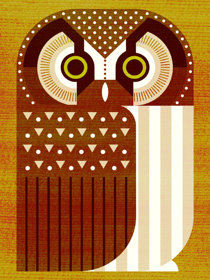 Scott Partridge - Illustration - Boreal Owl