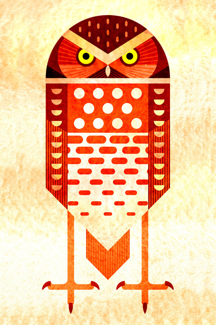 Scott Partridge - Illustration - Burrowing Owl