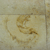 fossil charlotte nc