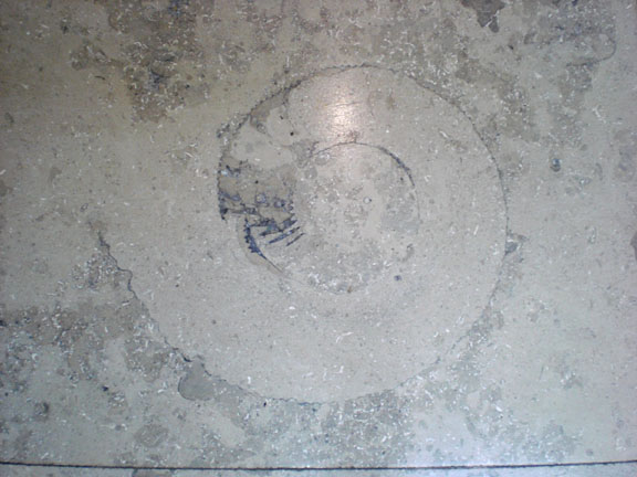fossil charlotte nc