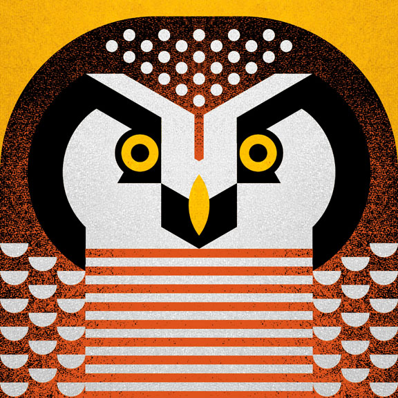Scott Partridge - Illustration - Hawk Owl 