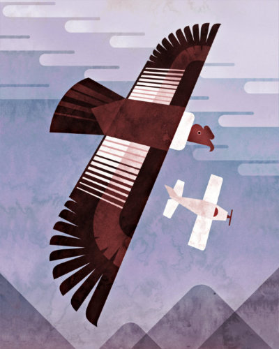 Scott Partridge - illustration - Andean Condor