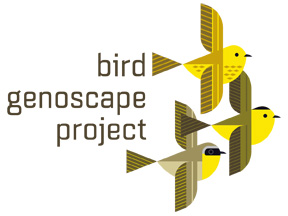 scott partridge - logo - bird genoscape project