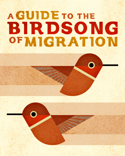 Scott Partridge - A Guide to the Birdsong