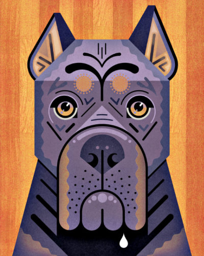 Scott Partridge - animal portrait - Cane Corso