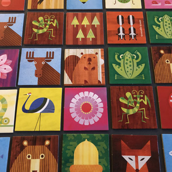 Scott Partridge - nature memory game - crocodile creek