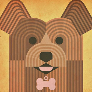 Scott Partridge - pet portrait - charlie - dog
