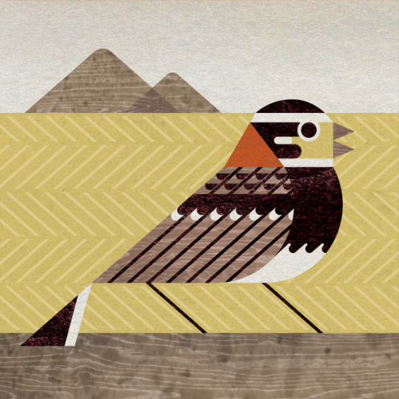 The Bird Genoscape Project Aims to Unlock the Secrets in Birds