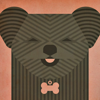 Scott Partridge - pet portrait - dash - dog