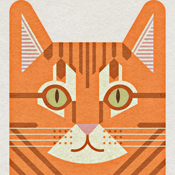 Scott Partridge - pet portrait - finn - orange tabby
