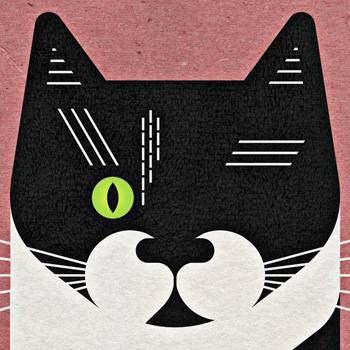 Scott Partridge - pet portrait - julie - tuxedo cat