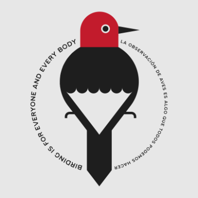 Scott Partridge - mecklenburg audubon tee shirt design - red headed woodpecker