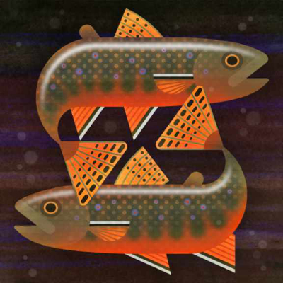 Scott Partridge - illustration - Southern Appalachian Brook Trout